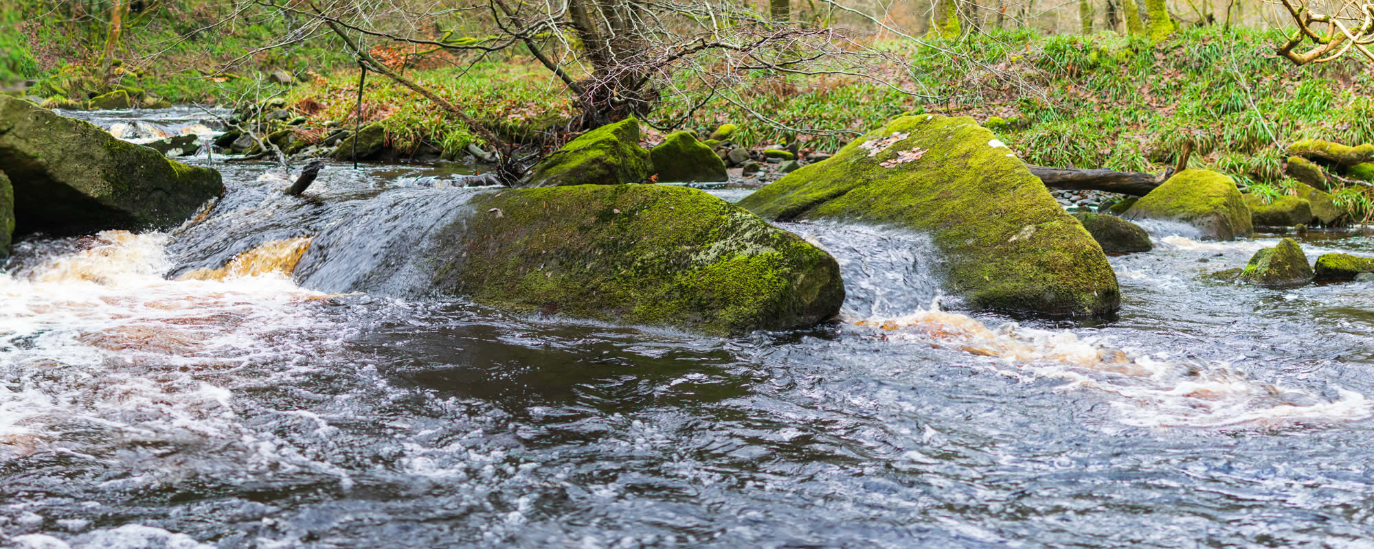 Surveyor in Dewsbury