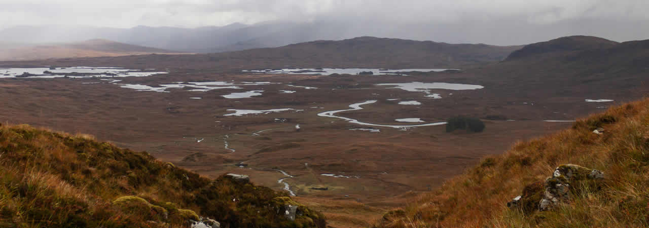 Surveyor in Wetherby