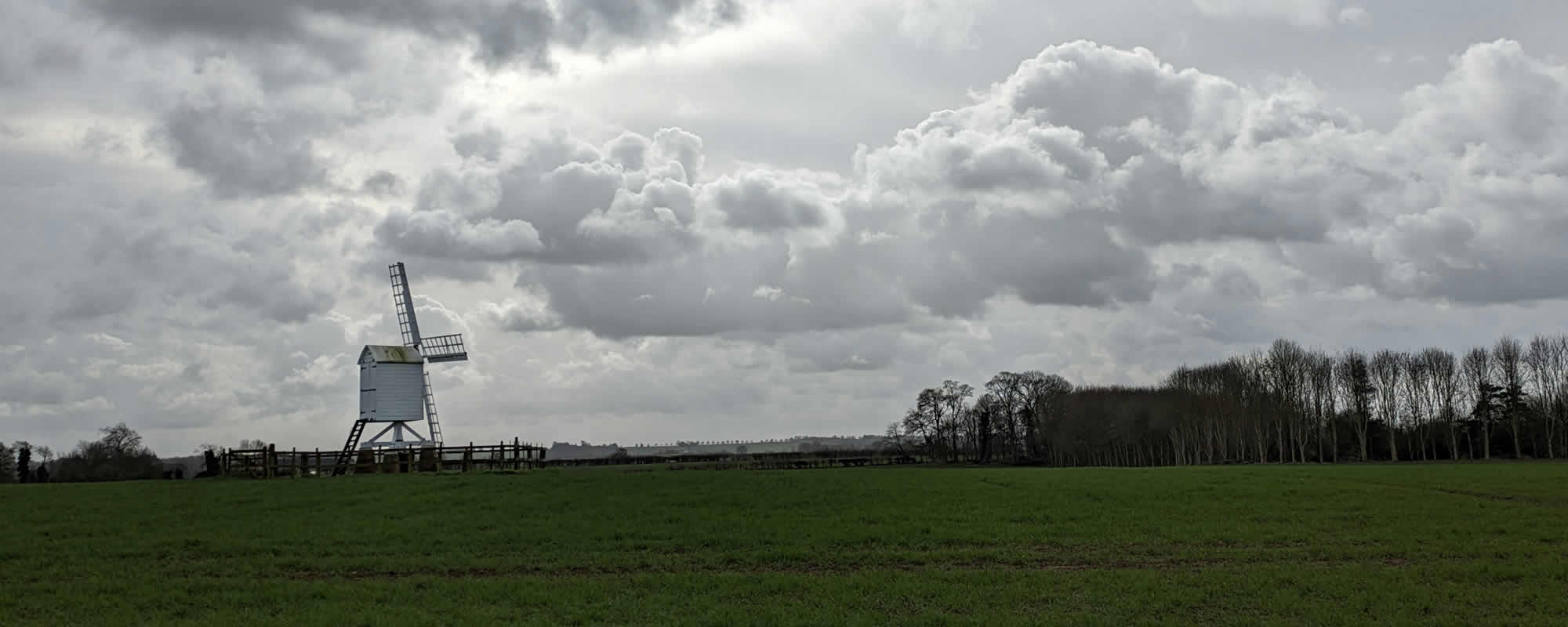 Chartered Surveyor in Banbury