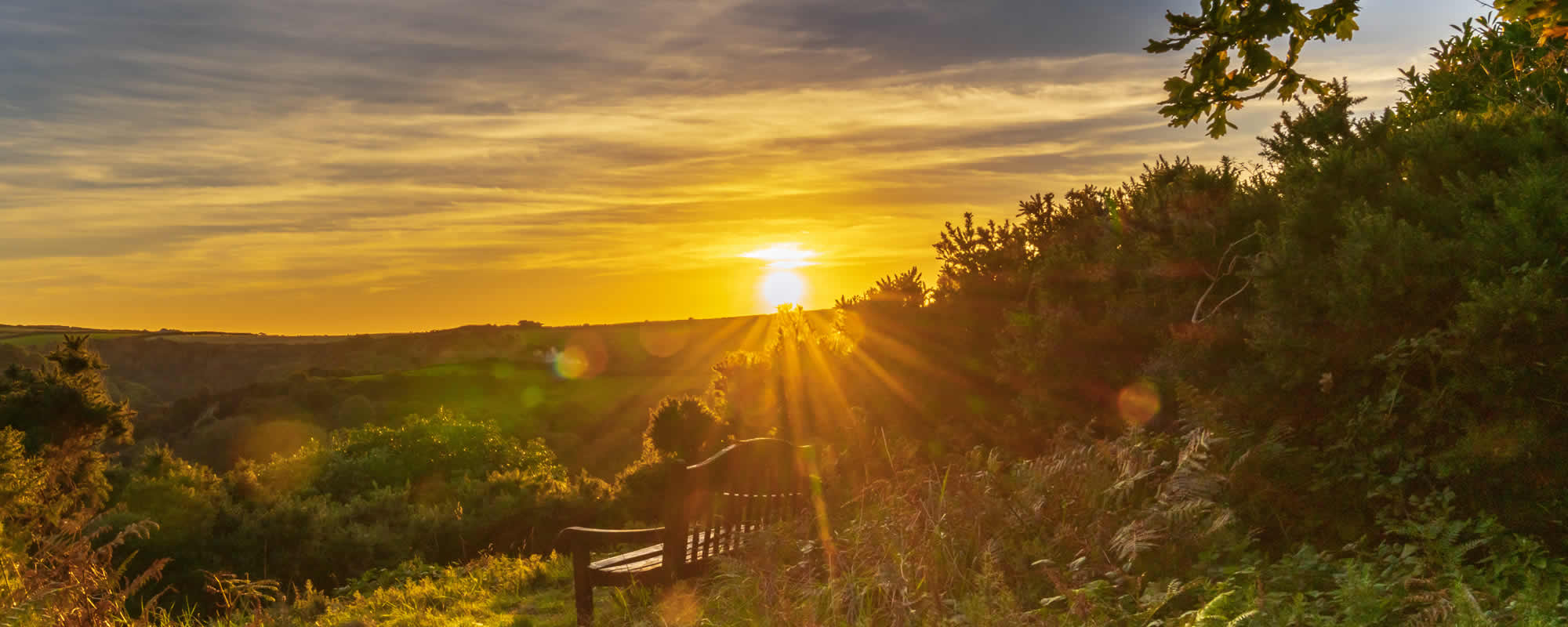Surveyor in Barnstaple