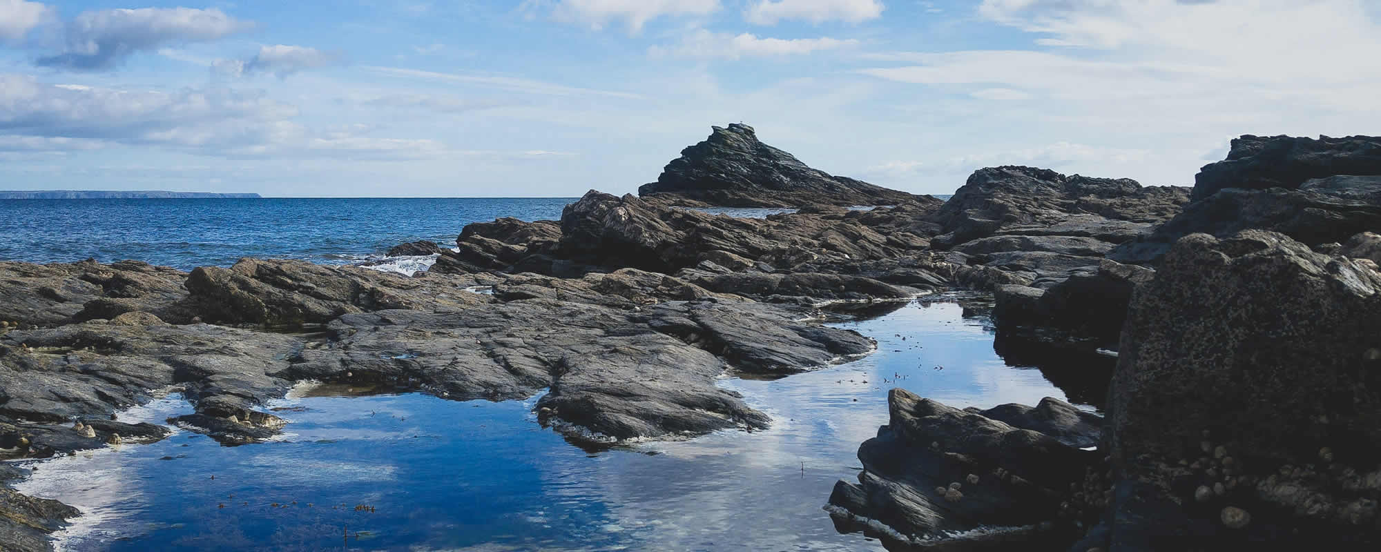 Best surveyors, Penzance