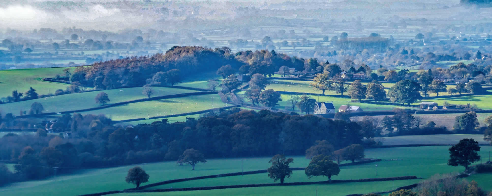 Surveyor in Shaftesbury