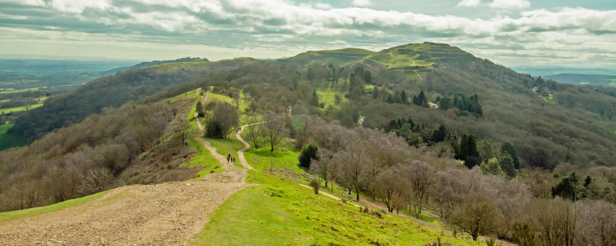 RICS surveys in Solihull