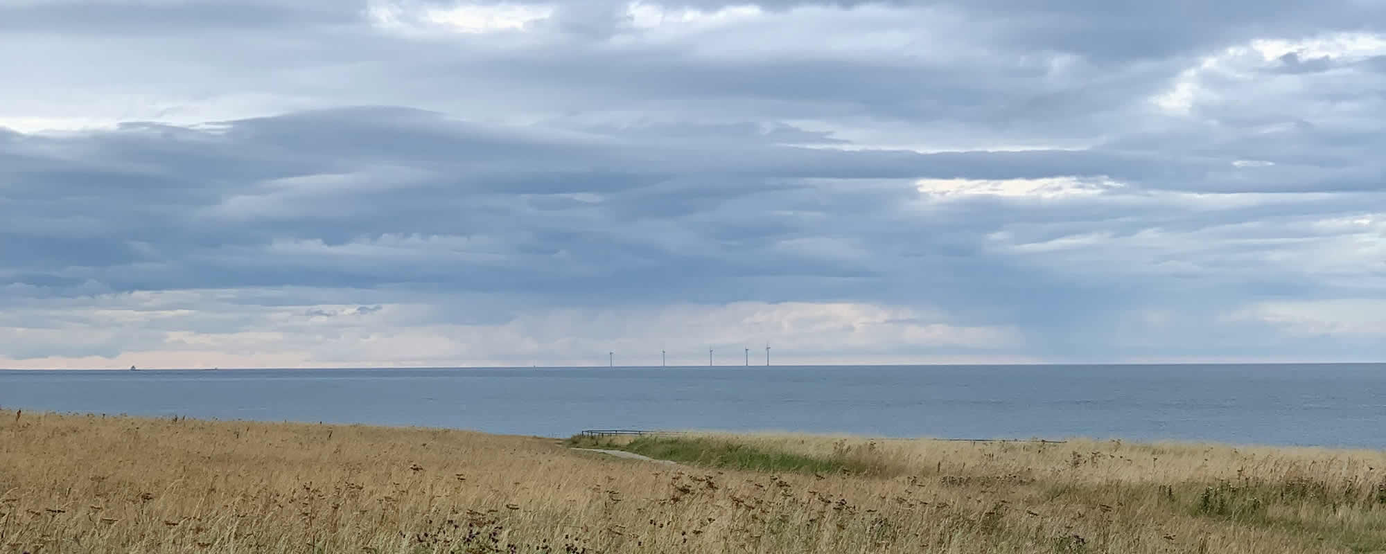 Surveyor in South Shields