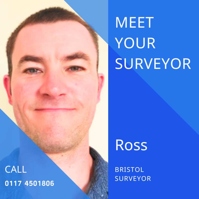 Meet Ross