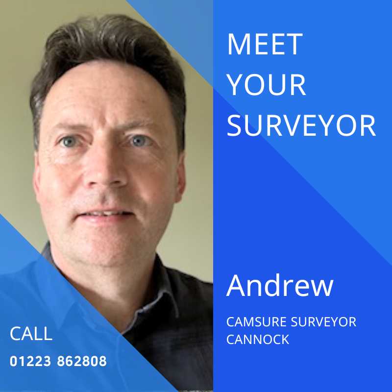 Professional Background