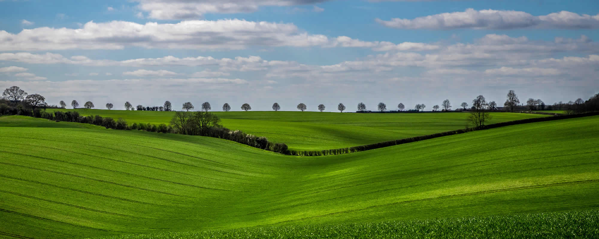 Chartered Surveyor in Witney