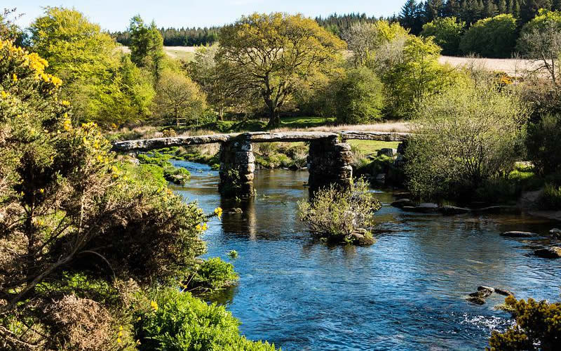 What Services Does Camsure Devon Provide?