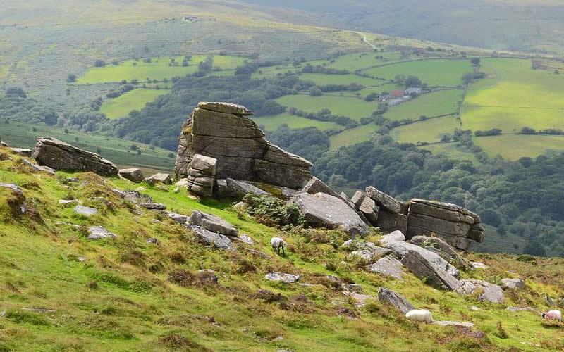 Who Are Camsure Home Surveys Devon?