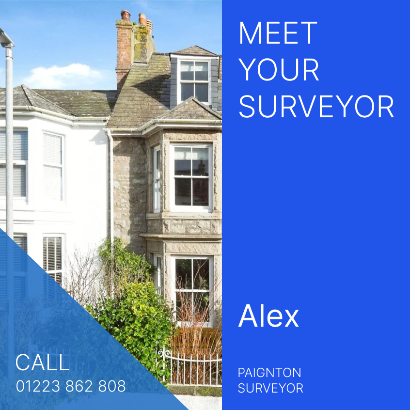 Meet Alex - Paignton Surveyor