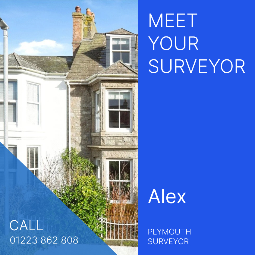 Meet Alex - Plymouth Surveyor